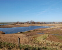 070203 Ganzenexcursie - Flouwersinlaag