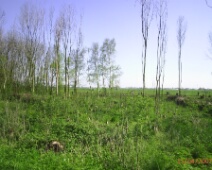 070415 Spookverlaat - Essenhakhout BENQ�Camera