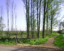 070415 Spookverlaat - Nieuwe pad
