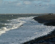 Zeeland-2008-020