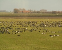 Zeeland-2008-036