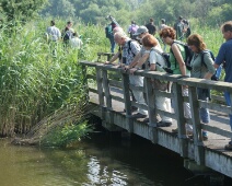080608 10h58 Oostvaardersplassen