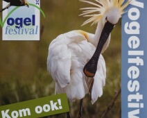 080608 11h31 Oostvaardersplassen