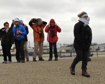 20110205 - Ganzenexcursie - Wind