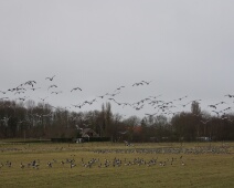 2015-02-07 15h27m52 Ganzenexcursie - GvdM