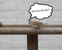 2019-Vogelcursus beginners