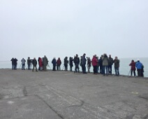 2020-01-25 14h46m10 - Zeeland - Ganzenexcursie - GvK