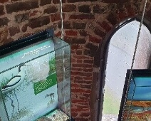 folderimg@2x