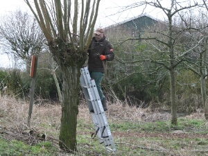 2023-02-18 - Spookverlaat - Knotten