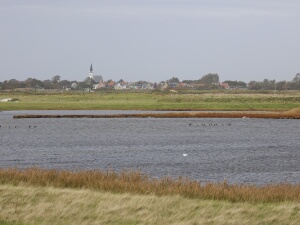 2023-10-06 - Texel