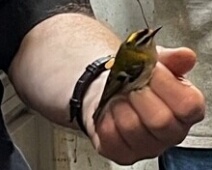 folderthumb