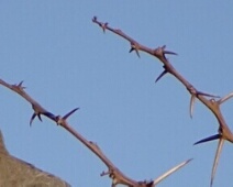 folderimage