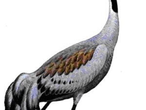 2011