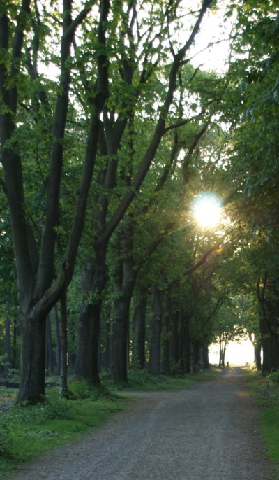 Leersumer Veld - Toegangspad