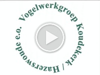 2005 Jubileum Video 25jr VWG