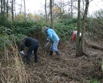 2024-11-16 11h38 Spookverlaat - - C=Bramen snoeien - Margot Klingers