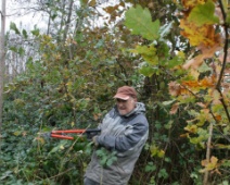 2024-11-23 12h55 Spookverlaat - - C=Bramen snoeien - Margot Klingers