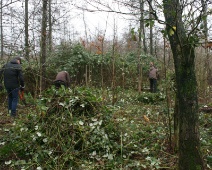 2024-12-28 12h20 Spookverlaat - - C=Bramen snoeien - Margot Klingers