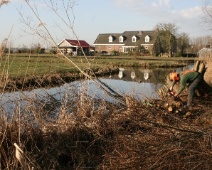 2024-2025 Montfort - Hakhout bos herstel - Margot Klingers
