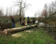 2024-2025 Spookverlaat - Hele boom - Margot Klingers