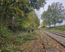 2025-11-01 Limburg - C=Het snoeiwerk maakt het pad vrij voor de stoomtrein - Margot Klingers