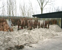2025-2026 Spookverlaat - C=Een koude periode in januari met sneeuw - Margot Klingers