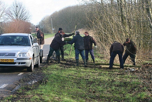 Zwaar werk door de Lions