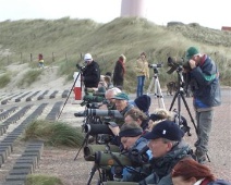 040924 Texel 14 - CoVe