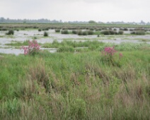 150516-weekend Diever-GvdM-11
