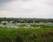 150516-weekend Diever-GvdM-9