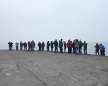 2020-01-25 14h46m10 - Zeeland - Ganzenexcursie - GvK