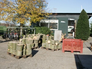 2022-11-12 - Spookverlaat - Knotten