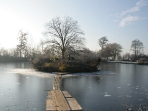 2022-12-17 - Spookverlaat - Knotten