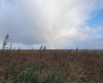 2023-11-25 10h00m58 Oostvaardersplassen - C=Regenboog - Johan Meijer