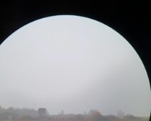 2023-11-25 15h44m05 Oostvaardersplassen - Vogels - Johan Meijer