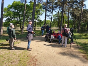 2023-05-13 - Kampina