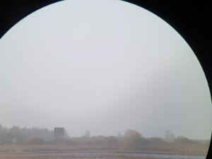 2023-11-25 - Oostvaardersplassen
