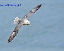 2024-06-21 11h05m58 Engeland - - Ton Renniers