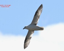 2024-06-22 12h20m30 Engeland - - Ton Renniers