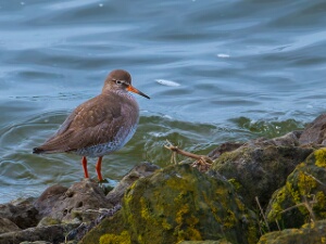 2025-01-25 Zeeland