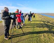 2026-01-24 Zeeland - C=Vogelaars - Margot Klingers