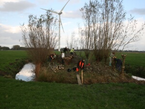 2010-11-06-Natuurwerkdag De grootste opkomst tot nu toe: Er werd op onze locatie door 55 mensen, waaronder 24 eigen knotters, gewerkt. Voor het...