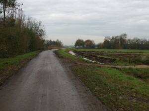 2011-11-05-Natuurwerkdag Jawel, het was heerlijk werken in het Spookverlaag. 50 deelnemers gingen in 6 groepen aan de slag. De goede verzorging,...