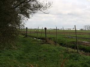 2012-11-03-Natuurwerkdag