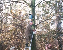 2002-10-31 Houtkamp - Nestkastenteam - Rob Eveleens