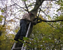 2016-11-08 Houtkamp - Nestkasten - Inhoud gelicht