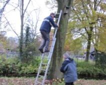 2016-11-08 Houtkamp - Nestkasten - Ladder