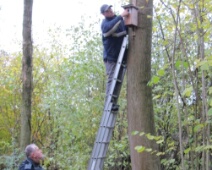 2016-11-08 Houtkamp - Nestkasten - Notitie
