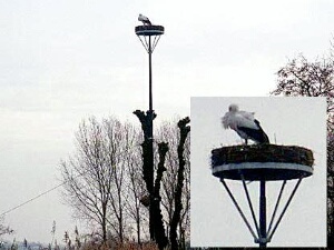 2005