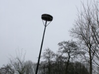 2022-01-08 11h47m59 Spookverlaat - KnikkendNest